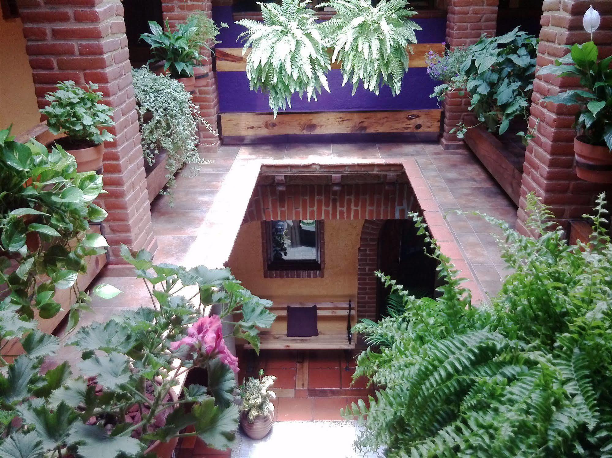 מקסיקו סיטי Mex Suites Casa Azul B&B מראה חיצוני תמונה